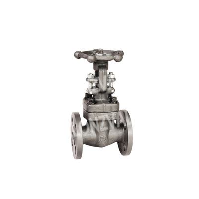 【鍛鋼閘閥F-DN15】價(jià)格,廠家,圖片,閥門,浙江隆成閥門-