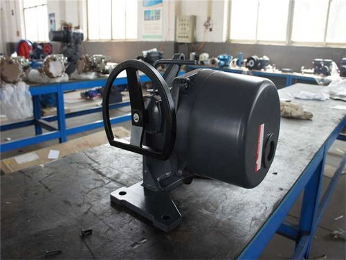 風(fēng)門電動(dòng)執(zhí)行器廠 風(fēng)門電動(dòng)執(zhí)行器 天津澳托克執(zhí)行器 查看