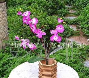 蝴蝶蘭 單枝仿真花卉，點亮居家空間的雅致之選